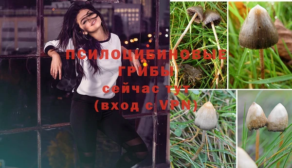 круглые Алексеевка